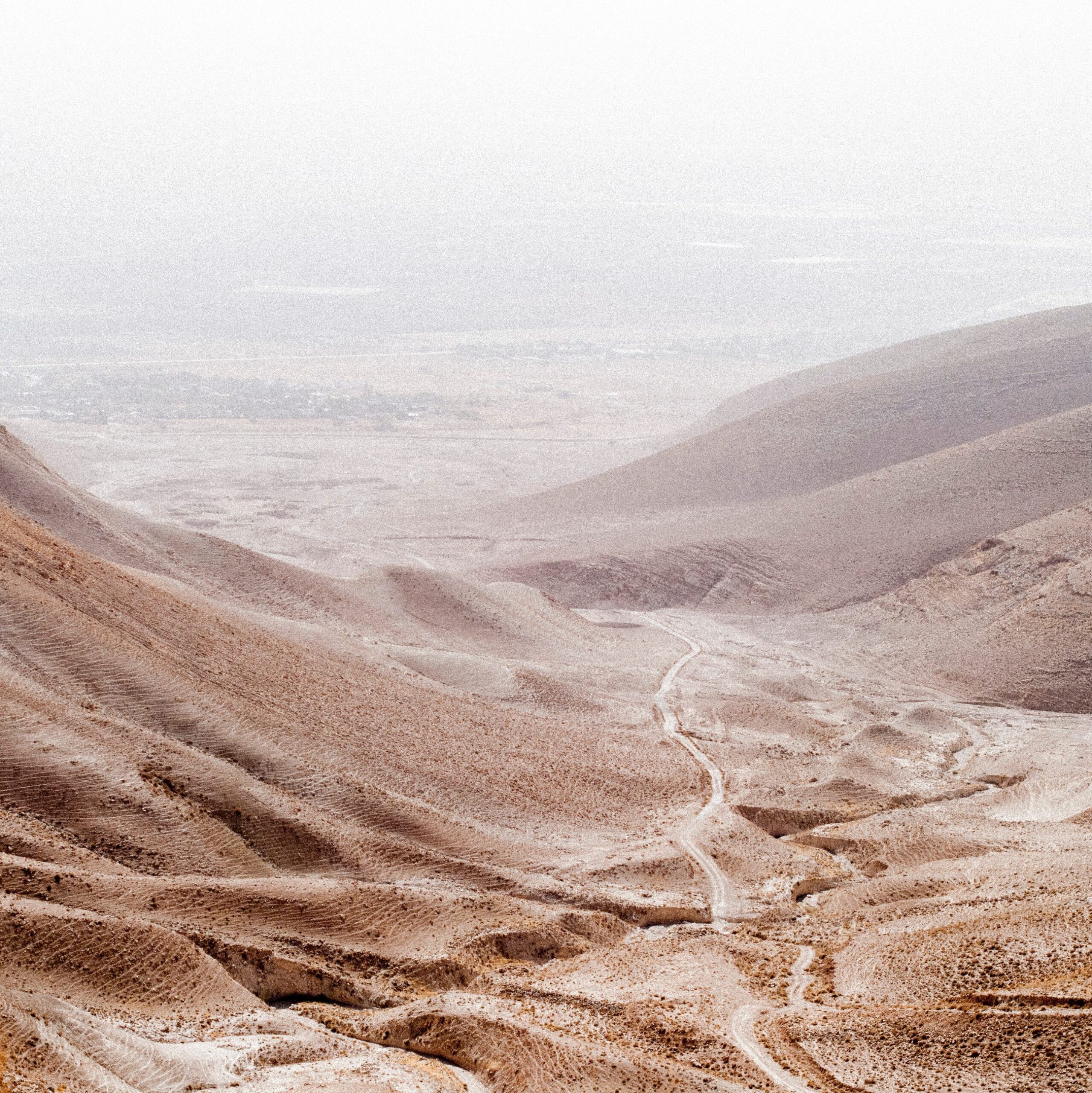 mejdi tours jerusalem